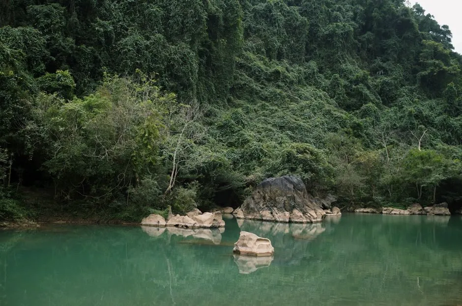 5 mon ngon nuc tieng gan xa cua hung yen 148394515854599 mon ngon hung yen3 1483951917 width600height380