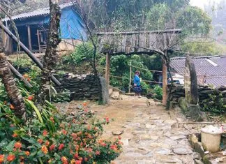 sapa16-7167-1476869412